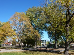 Hollywood_Park